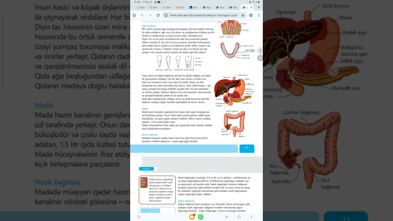 8ci sinif həzm sisteminin quruluş və funksiyaları