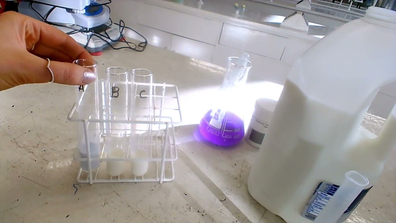 To investigate the quality of a milk sample over time