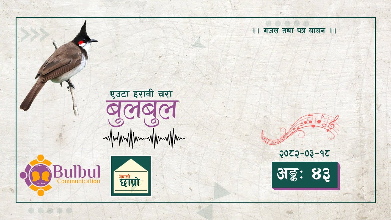 BULBUL 043 | बुलबुल - एउटा इरानी चरा || YT Audio Program || Achyut Ghimire Bulbul