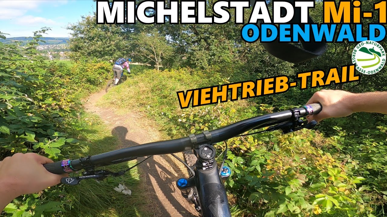 ODENWALD MICHELSTADT Mi-1 Viehtrieb-Trail / Mountainbike Enduro - JAY'S TRAILSPEICHER