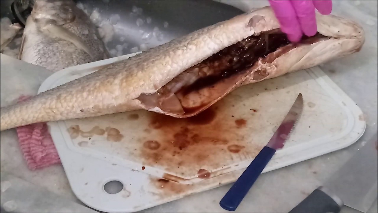 Como limpar Peixe