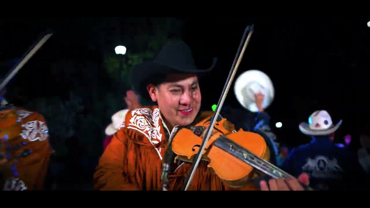 Los 4 juglares - Juglares del Son