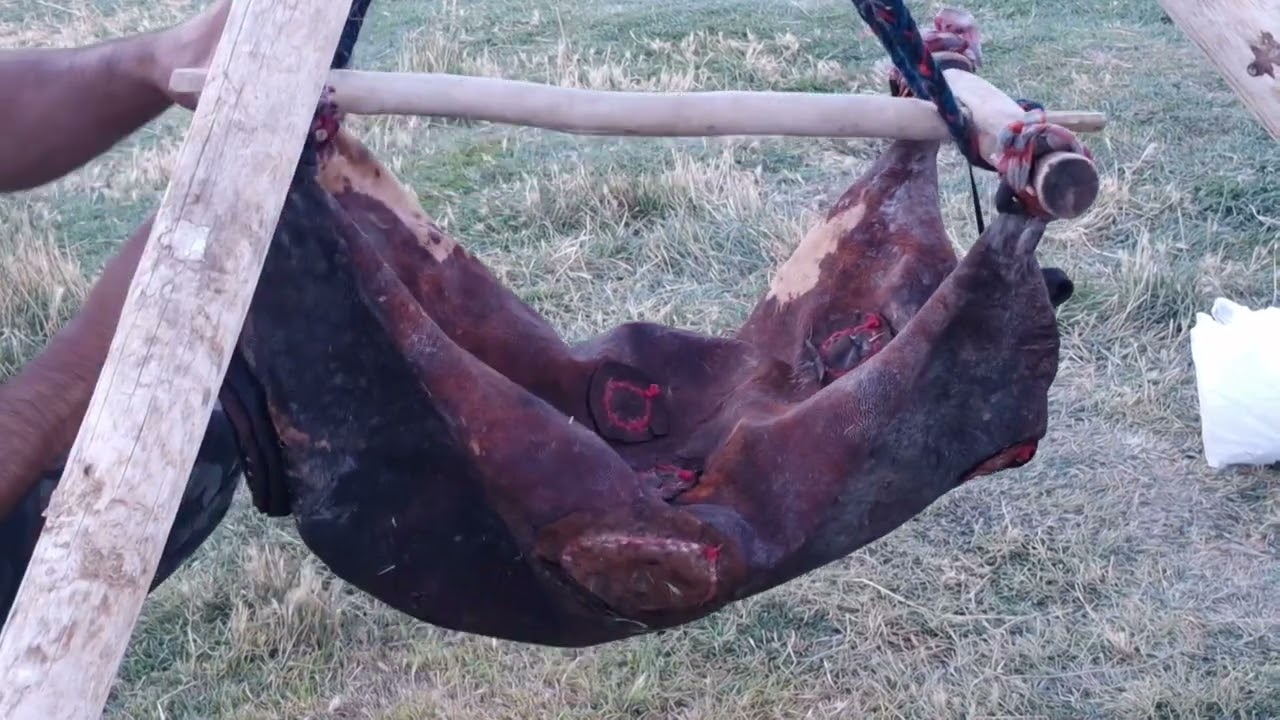 Иранские кочевники: взгляд на кочевой образ жизни 