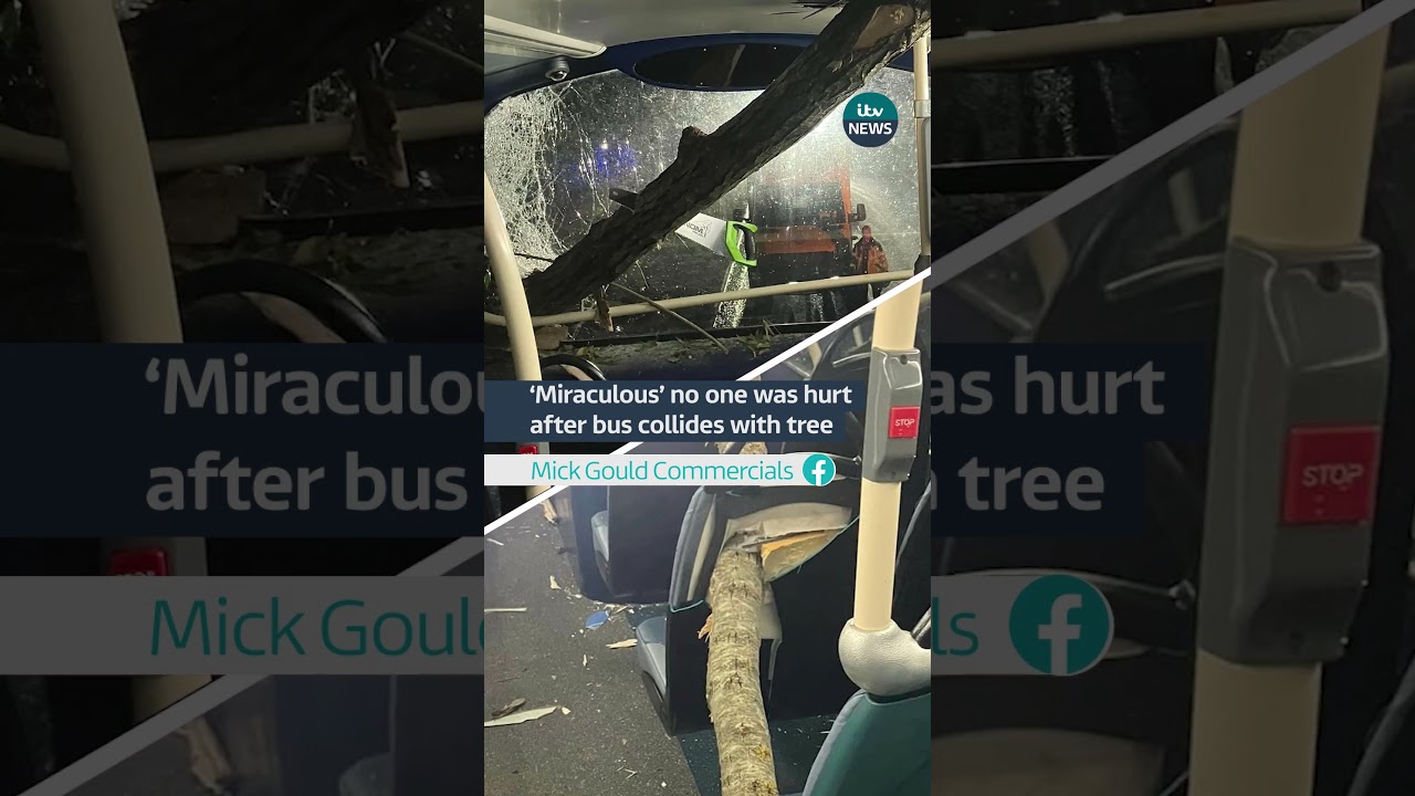 &lsquo;Miraculous&rsquo; no one was hurt after bus collides with tree #kent #bus