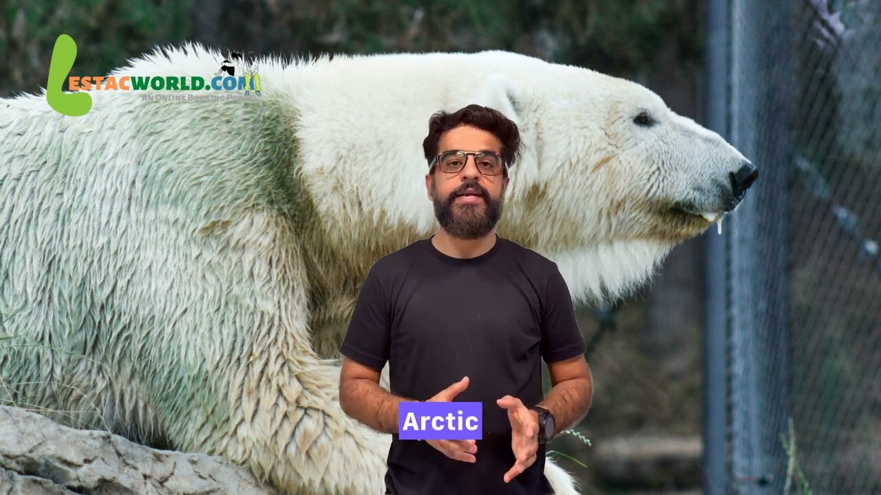 Ranua Zoo in Rovaniemi | Should you visit?