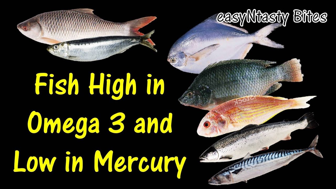 TOP 25 INDIAN FISH  HIGH IN OMEGA 3 & LOW IN MERCURY