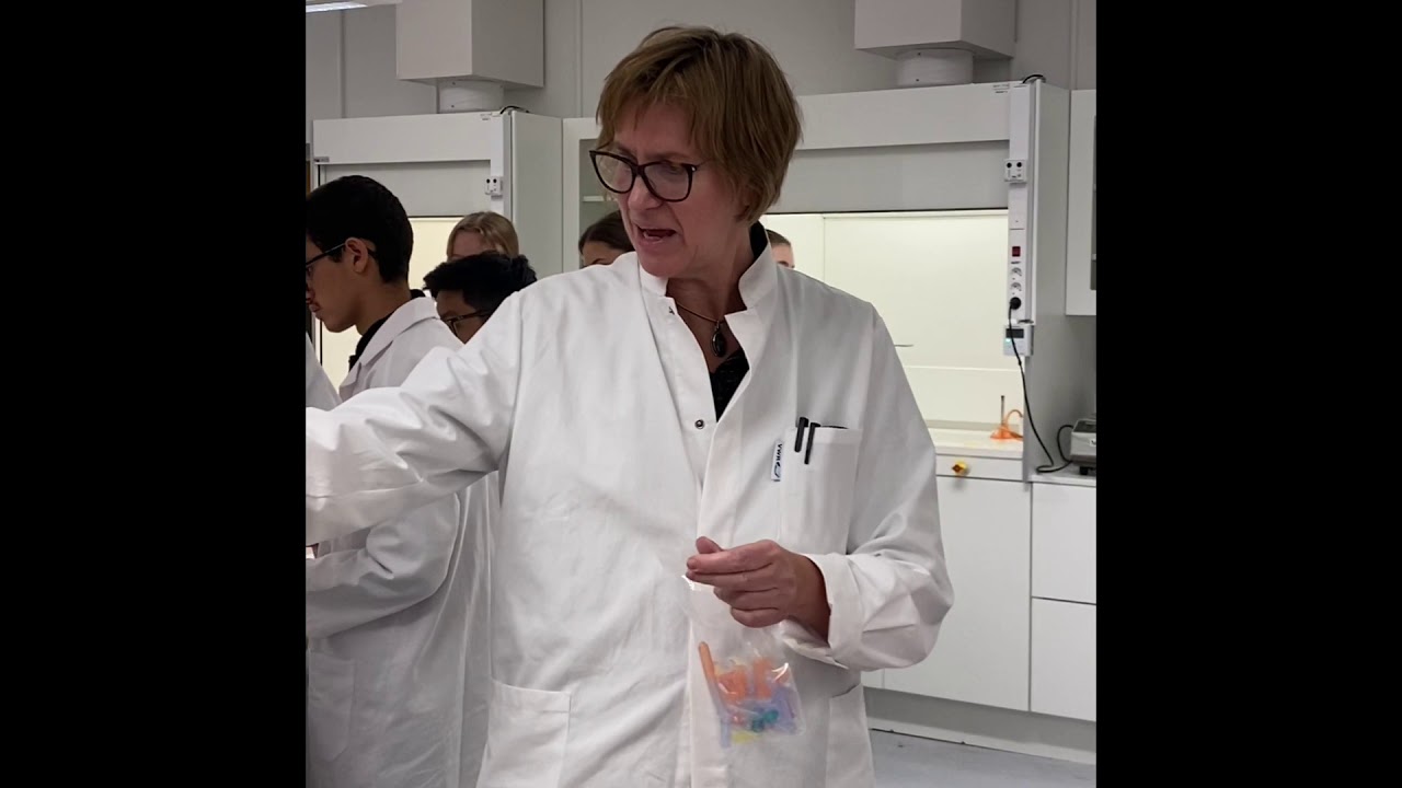 Medicinprofilen Tycho Braheskolan