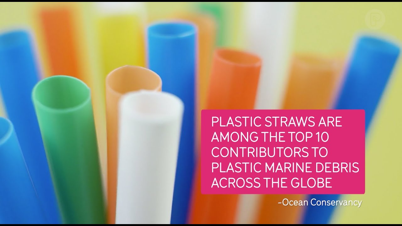 Plastic Straw Alternatives