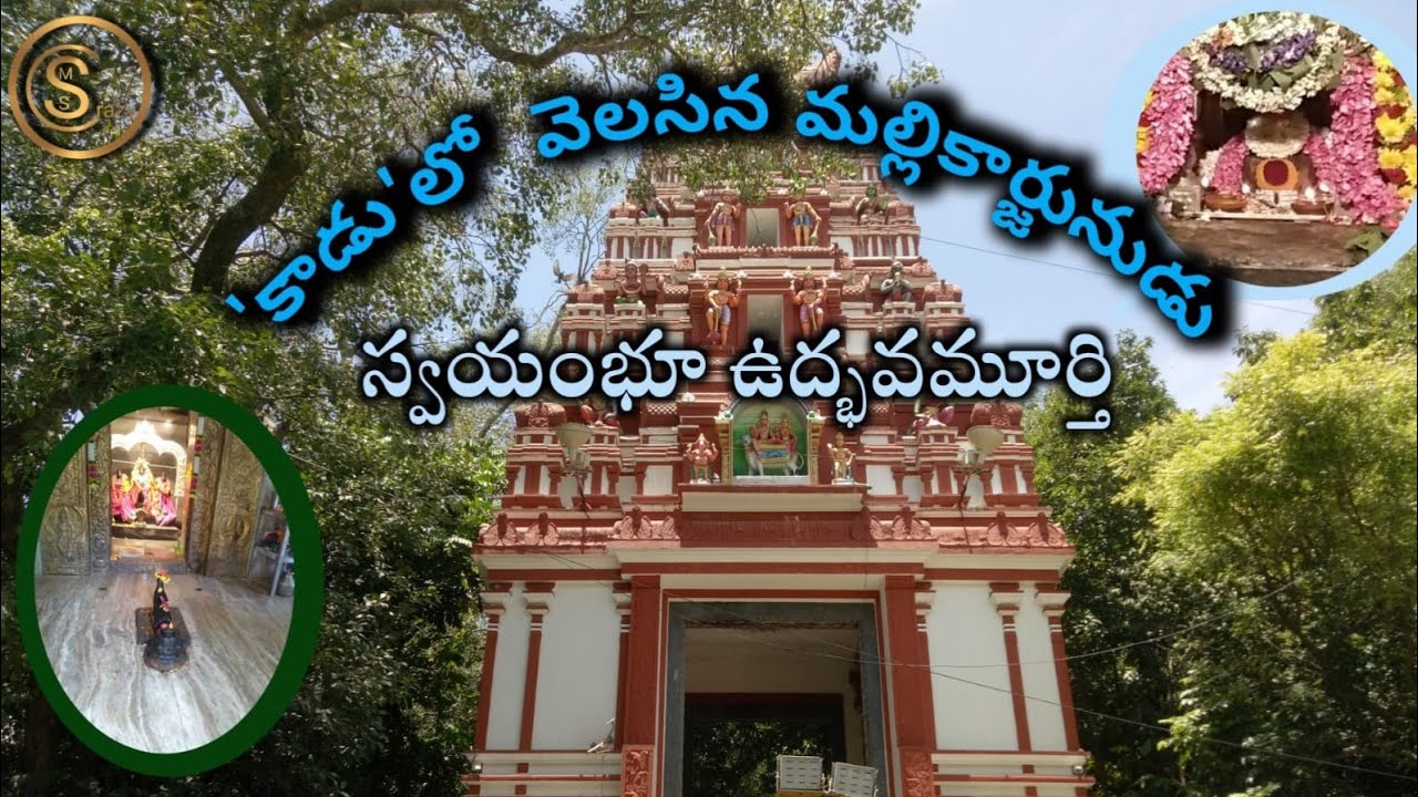 Kadu Malleswara Temple Bangalore l Karnataka Temples