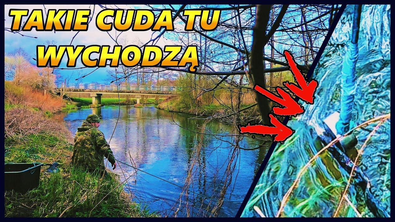 MAGNES NEODYMOWY. SZOK! CO TUTAJ WYCHODZI.