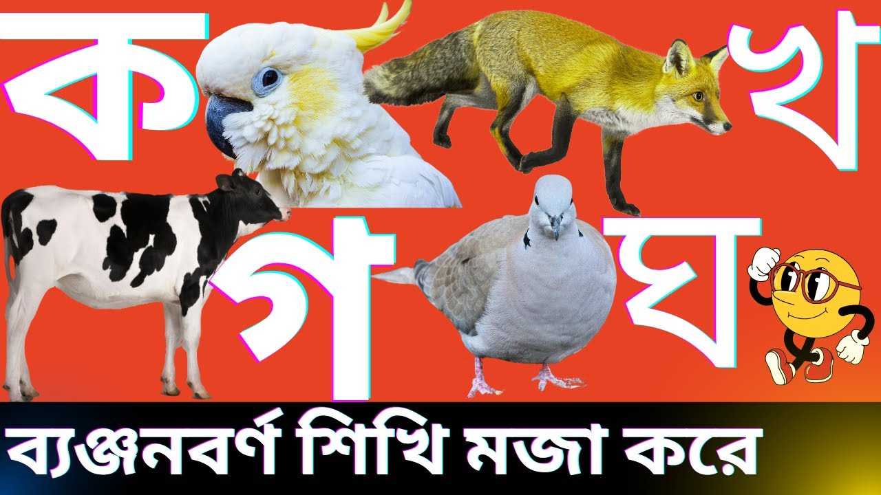 ক খ গ ব্যঞ্জনবর্ণ শিখি মজা করে//সঠিক উচ্চারণে ক খ// k kh g gh // banjanbarno// banglabarnomala