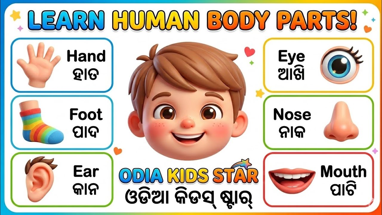 Parts of body in odia । Complete 15 parts । Head shoulders knees । Children's education