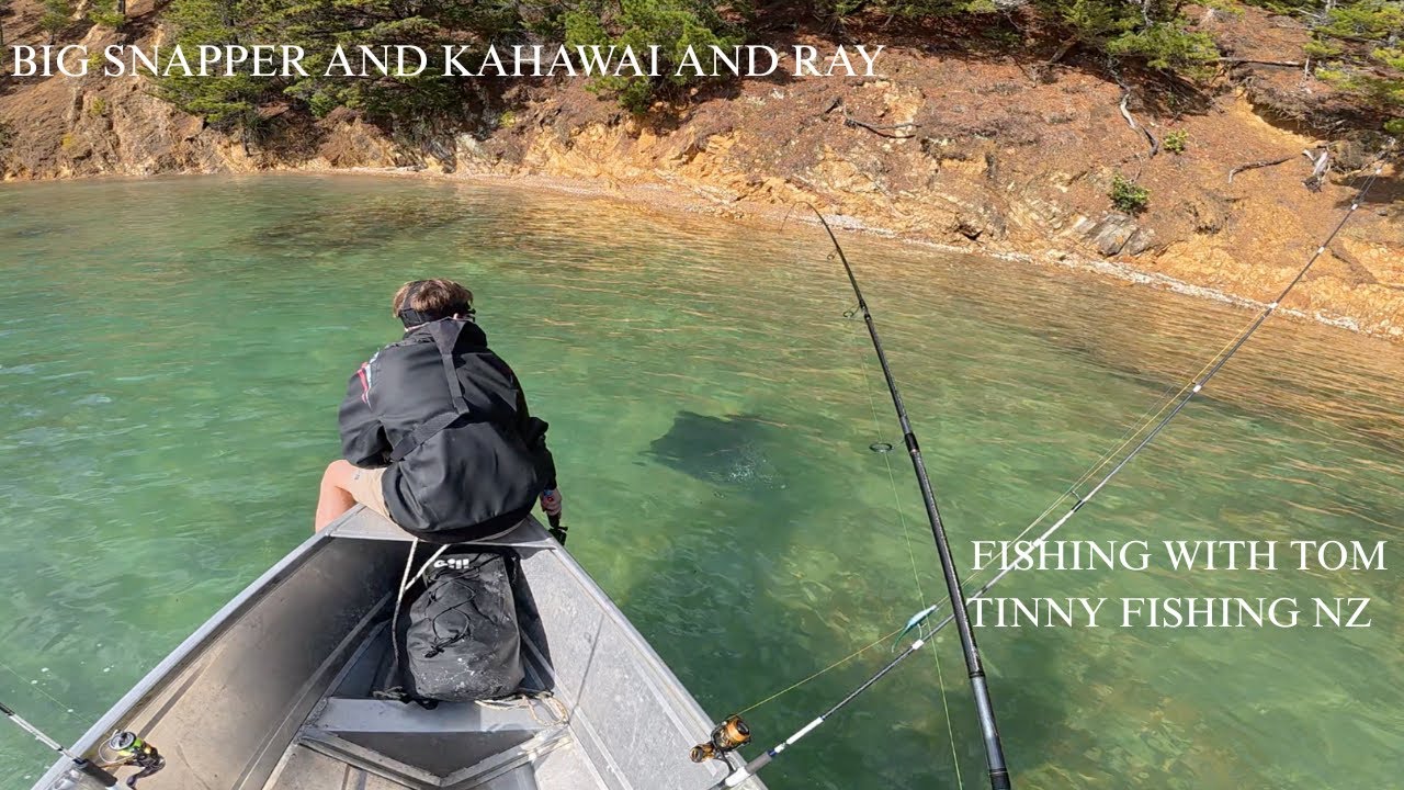 FISHING WITH TOM AT WAIHEKE BIG SNAPPER, STING RAY AND KAHAWAI PT 4 (LAST PART)