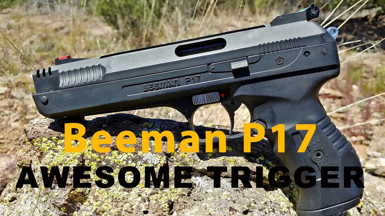 Beeman P17 - Affordable Plinker With an AWESOME TRIGGER!