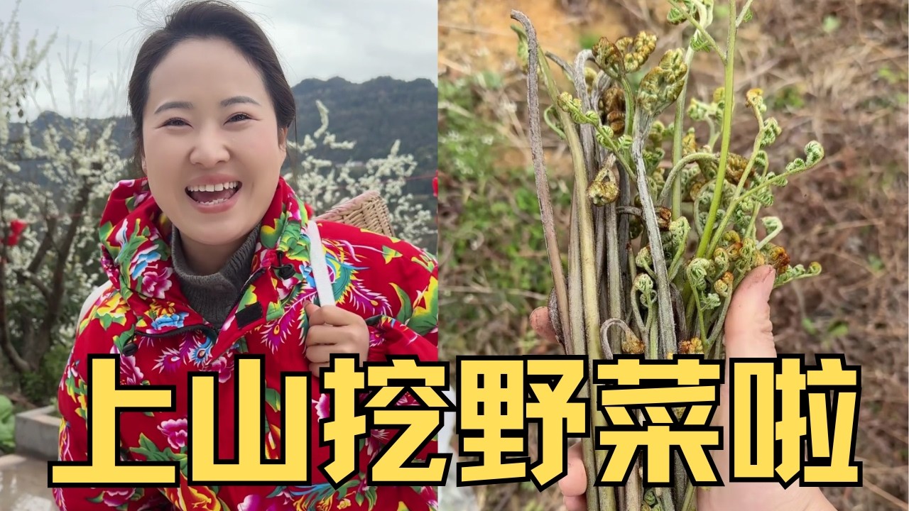 婷妹上山挖野菜，滿山遍野都是太誘人了，天黑了都不想走【婷妹要努力】