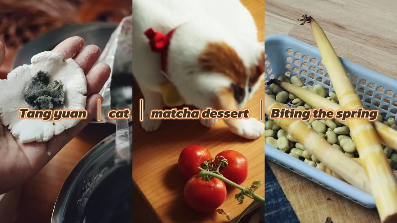 搓汤圆 抹茶甜品 春天“咬春”Tangyuan | cat | Matcha dessert | Biting the Spring |Cozy Life