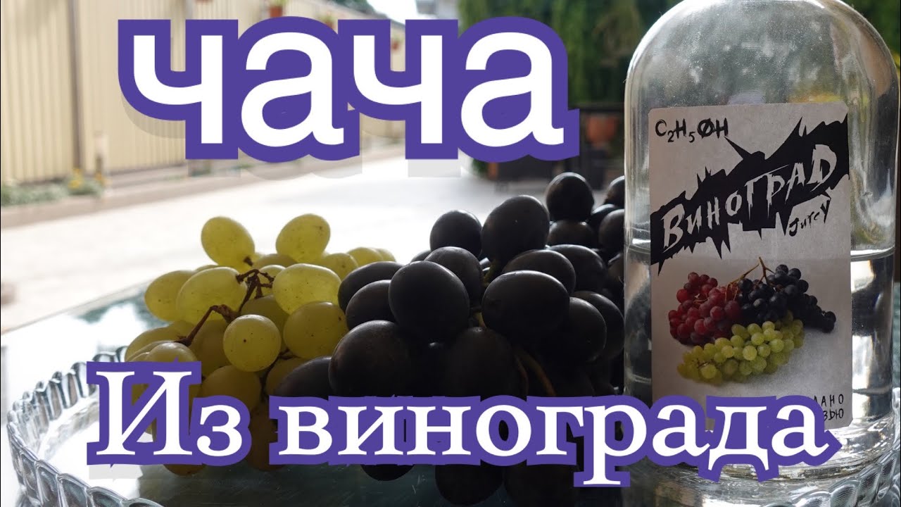 ЧАЧА из винограда👍