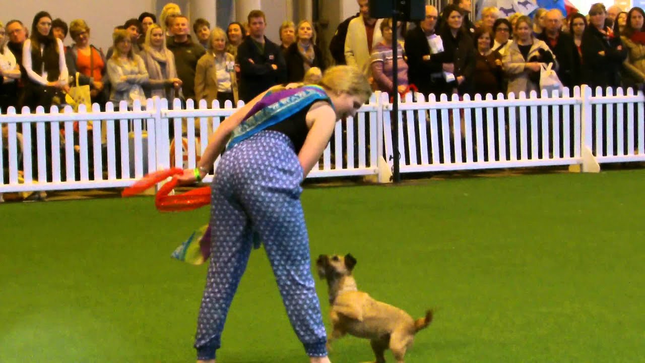 Jodie and Bramble Crufts Freestyle 1st place!