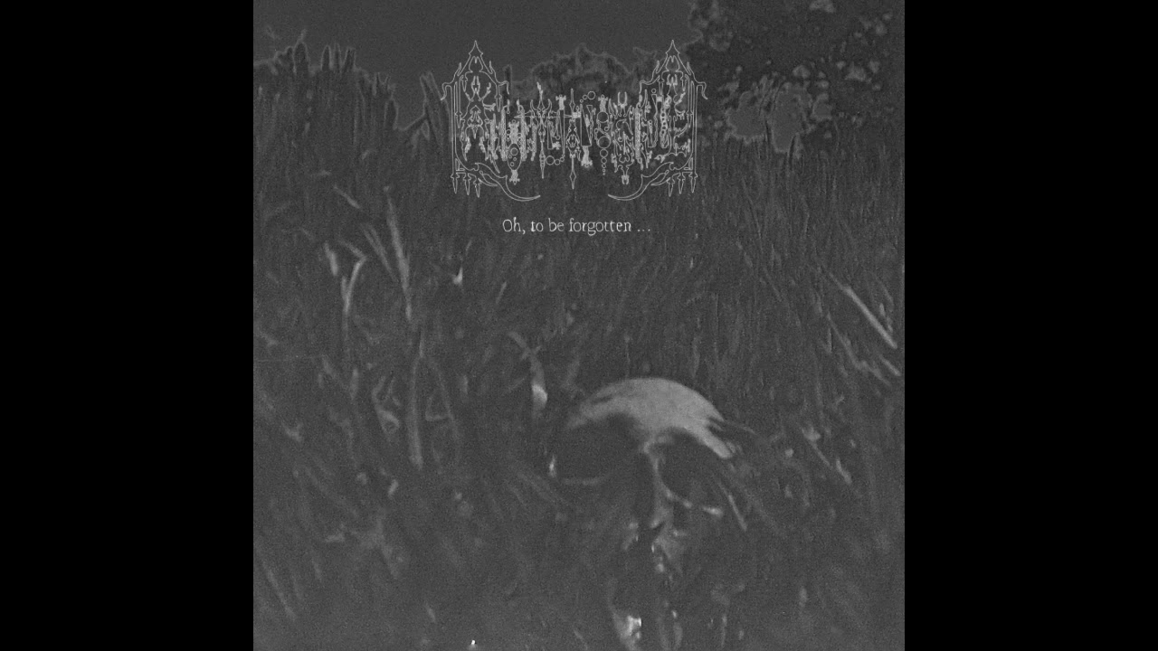 Anonymous Skull (Canada) - Oh, To Be Forgotten (Album 2023)