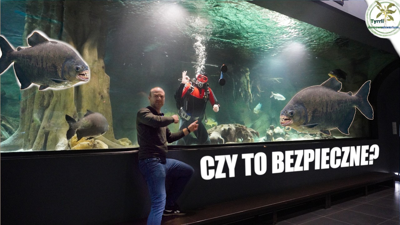 NUREK w 60 000 LITR&Oacute;W! Czy to bezpieczne?  (Palmiarnia Gliwice)