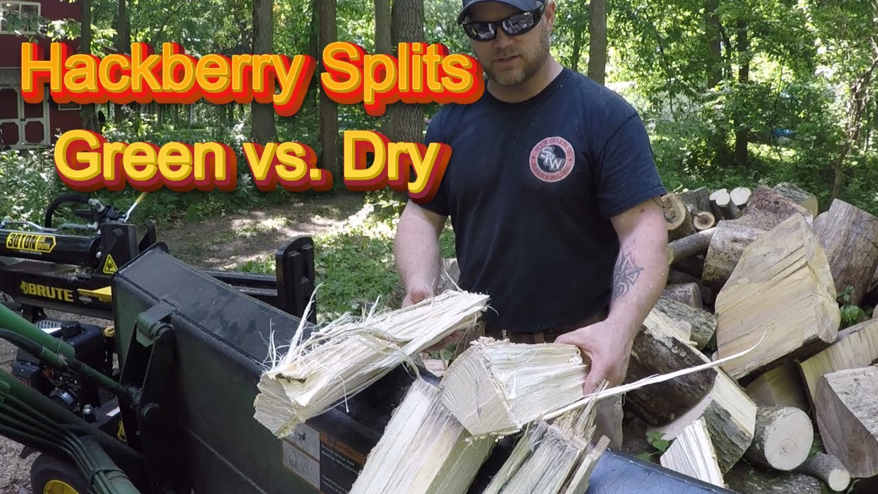 Green vs. Dry Hackberry Splits