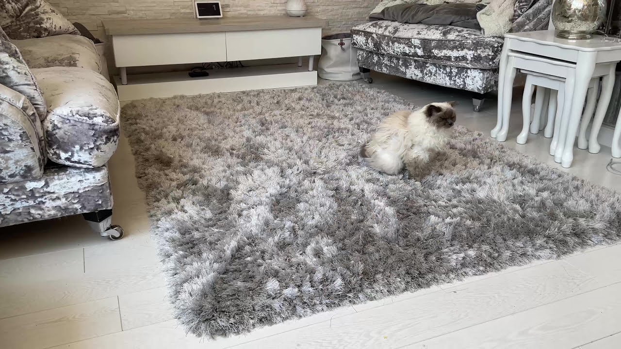 Ultra Soft Luxury Rug Plush Fluffy Carpet Area Rug Home Decor For Bedroom, Kidsroom, Living Room