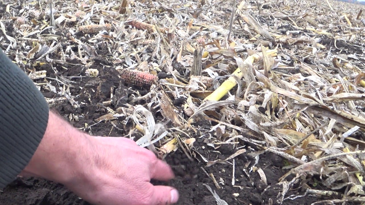 VERTI-TILL на базі агрегата АГК-4