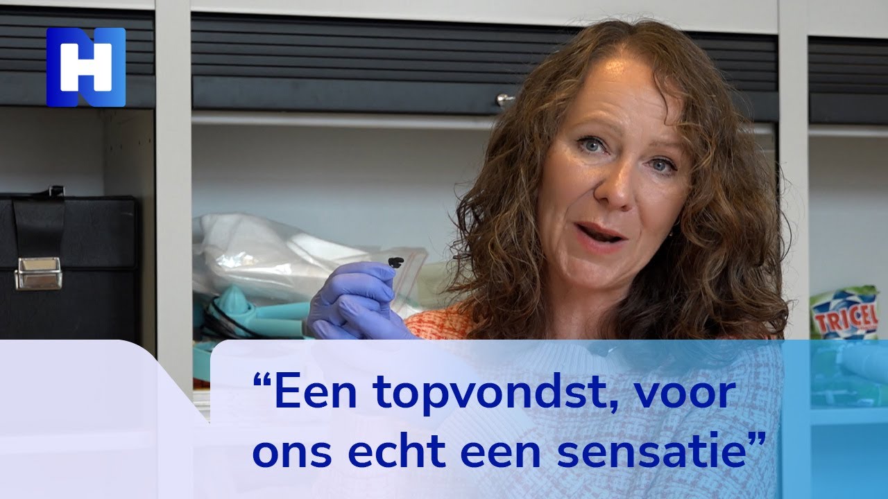 Bijzondere vondst in Alkmaar: een vliegende piemel