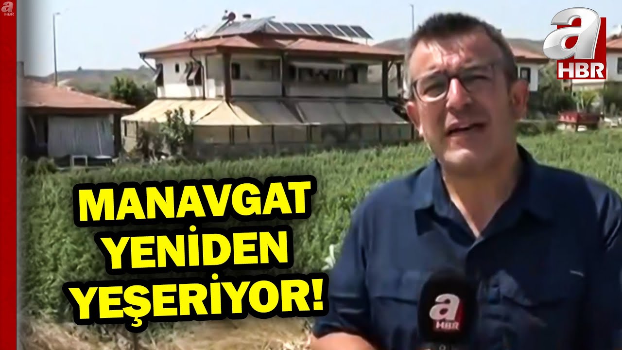 Manavgat Yangının Üzerinden Dört Yıl Geçti! Küle Dönen Ormanlar Yeniden Yeşerdi... | A Haber