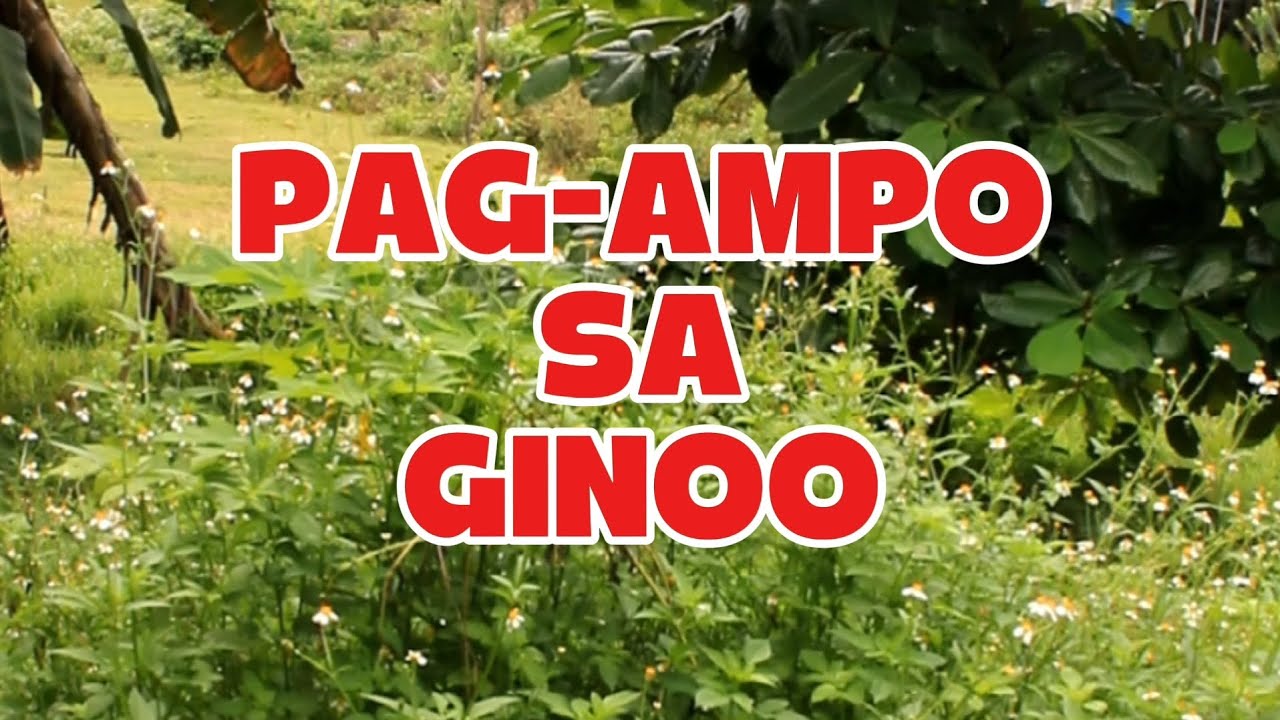 Pag-ampo sa Ginoo Bisaya