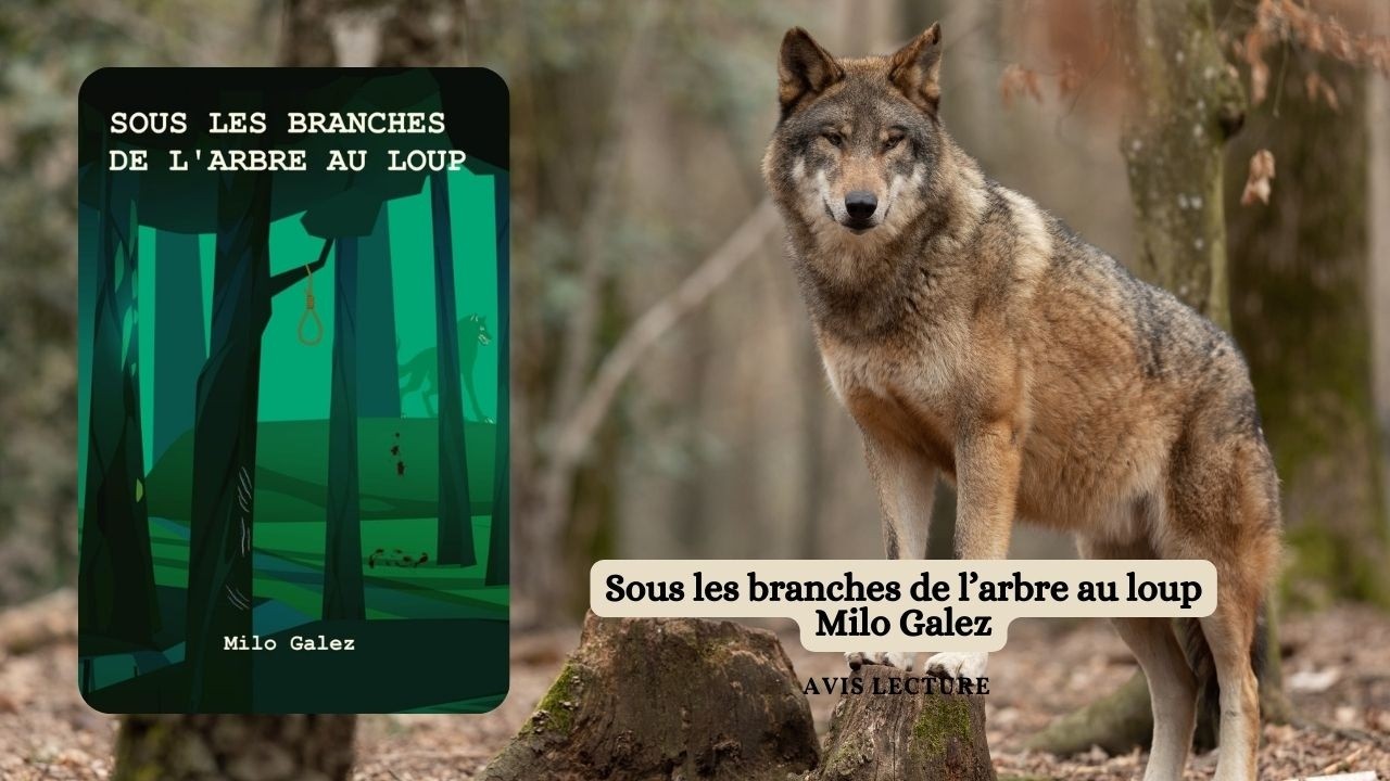 Chronique littéraire — Sous les branches de l’arbre au loup de Milo Galez