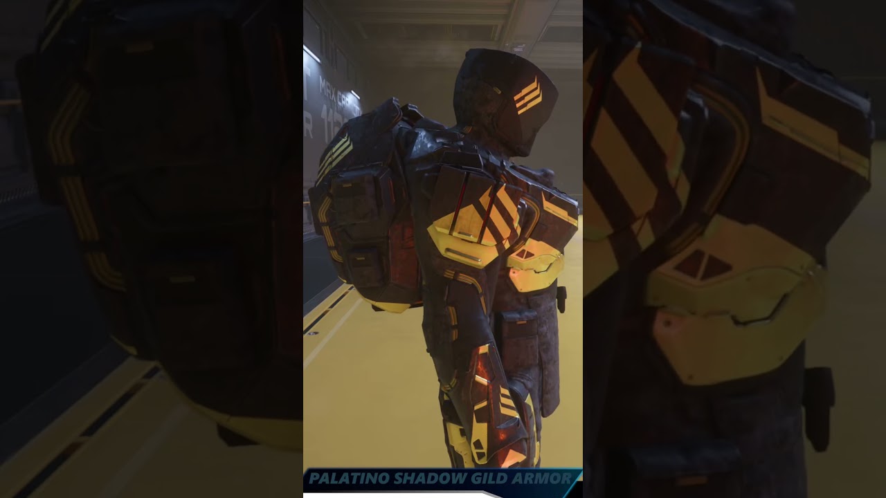 Star Citizen 4.5 | Monthly Patch Bundle | Shadow Gild | Mirai Guardian Paint | Palatino Armor