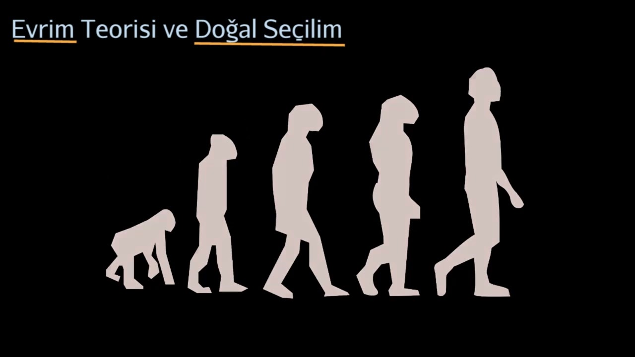 Doğal Se&ccedil;ilim ve Evrim Teorisi (Fen Bilgisi)