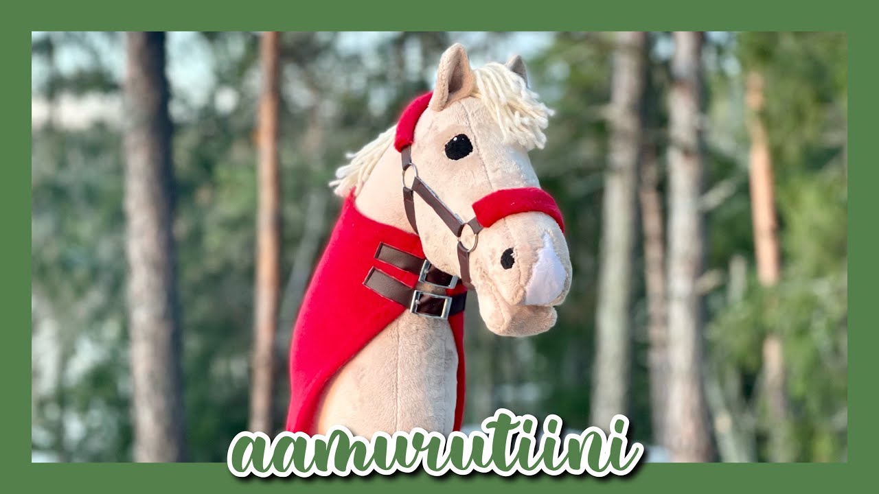 Talven Aamurutiini 🌅✨