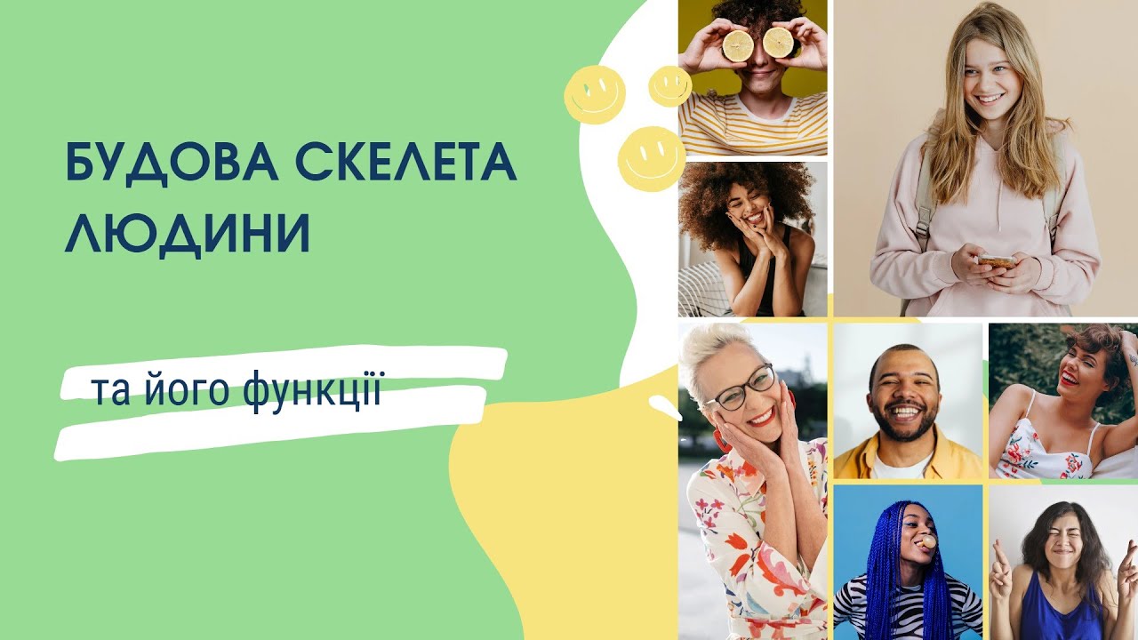 Будова скелета та його функції