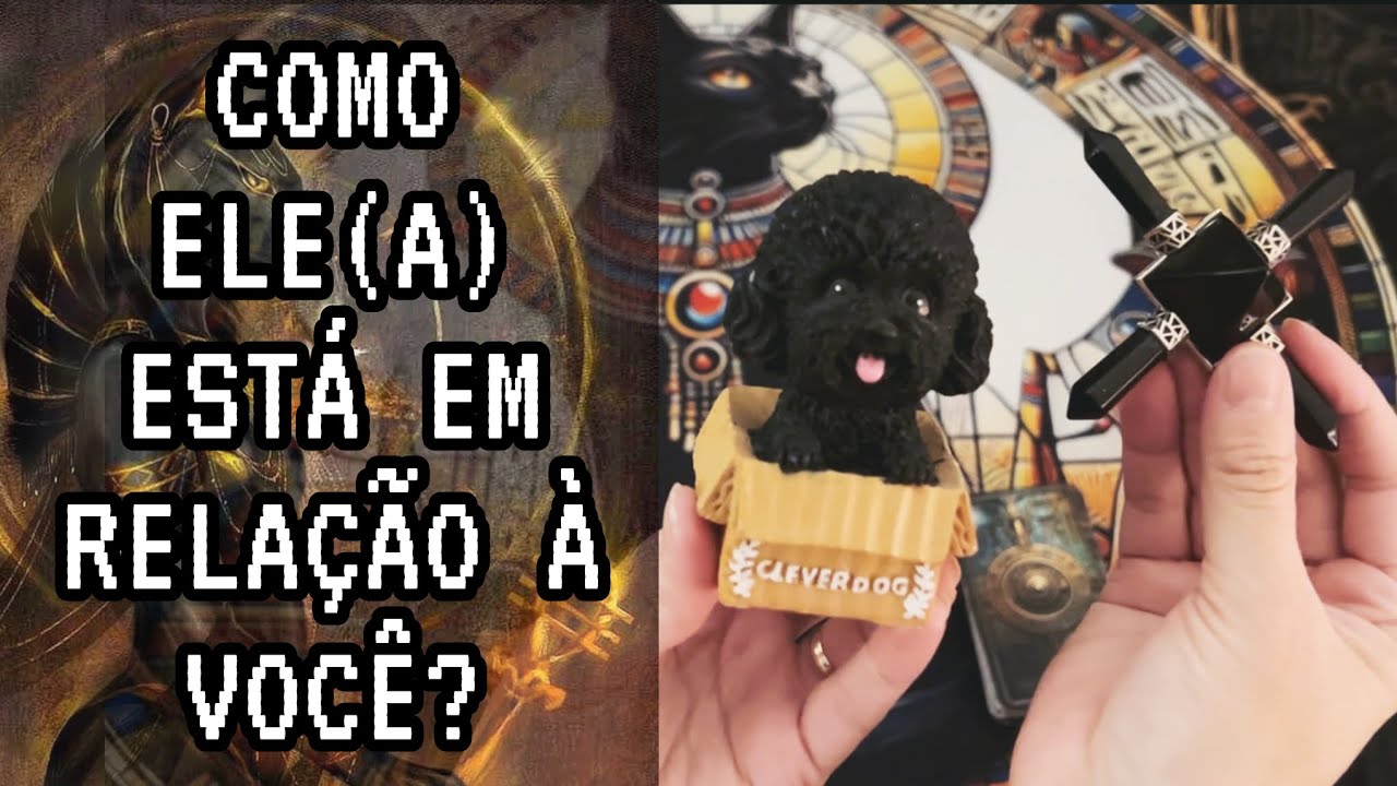 COMO ELE (A) ESTÁ EM RELAÇÃO À VOCÊ?