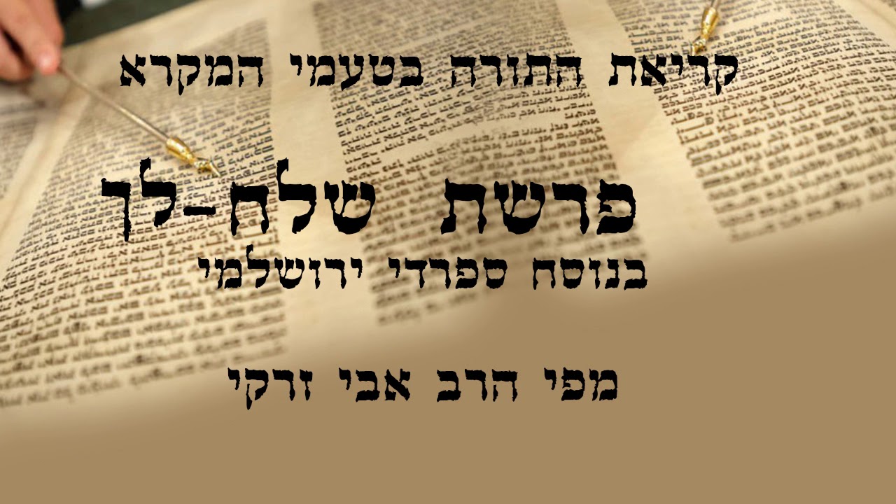 הרב אבי זרקי- קריאת התורה פרשת 