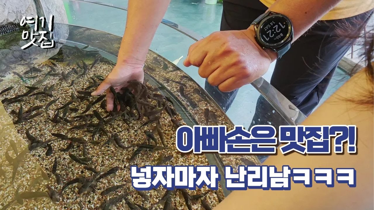 아빠가 물고기들의 아이돌?!🐟 안개 속 사성암부터 양갈비 파티까지  (섬지캠핑장 2편)