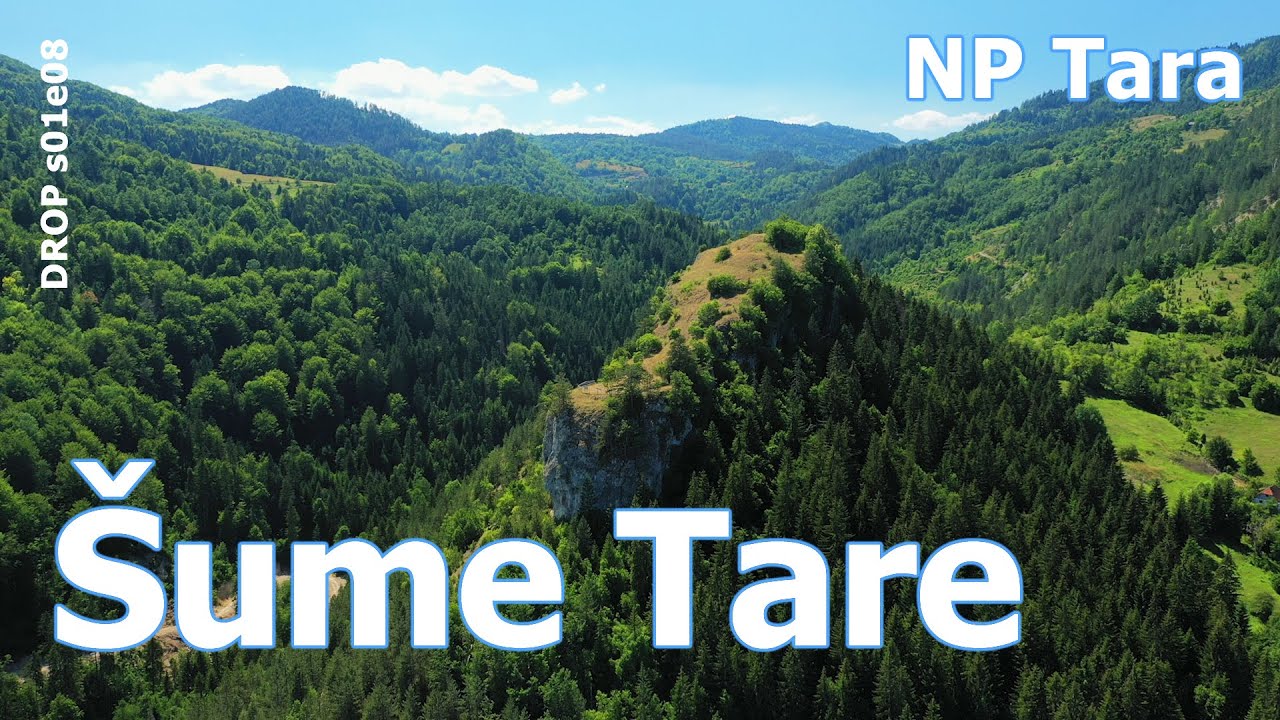 Manastir Rača, šume i živi svet NP Tara (DROP s01e08)