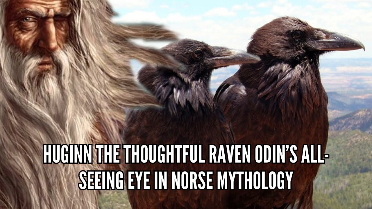 Huginn the Thoughtful Raven Odin&rsquo;s All Seeing Eye in Norse Mythology