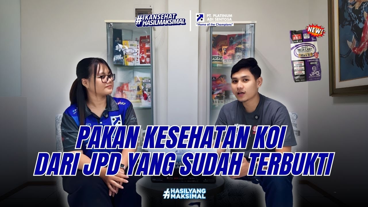 KABAR GEMBIRA! AKHIRNYA ADA PAKAN JPD TERBARU YANG BANTU CEGAH & OBAT VIRUS KHV😱