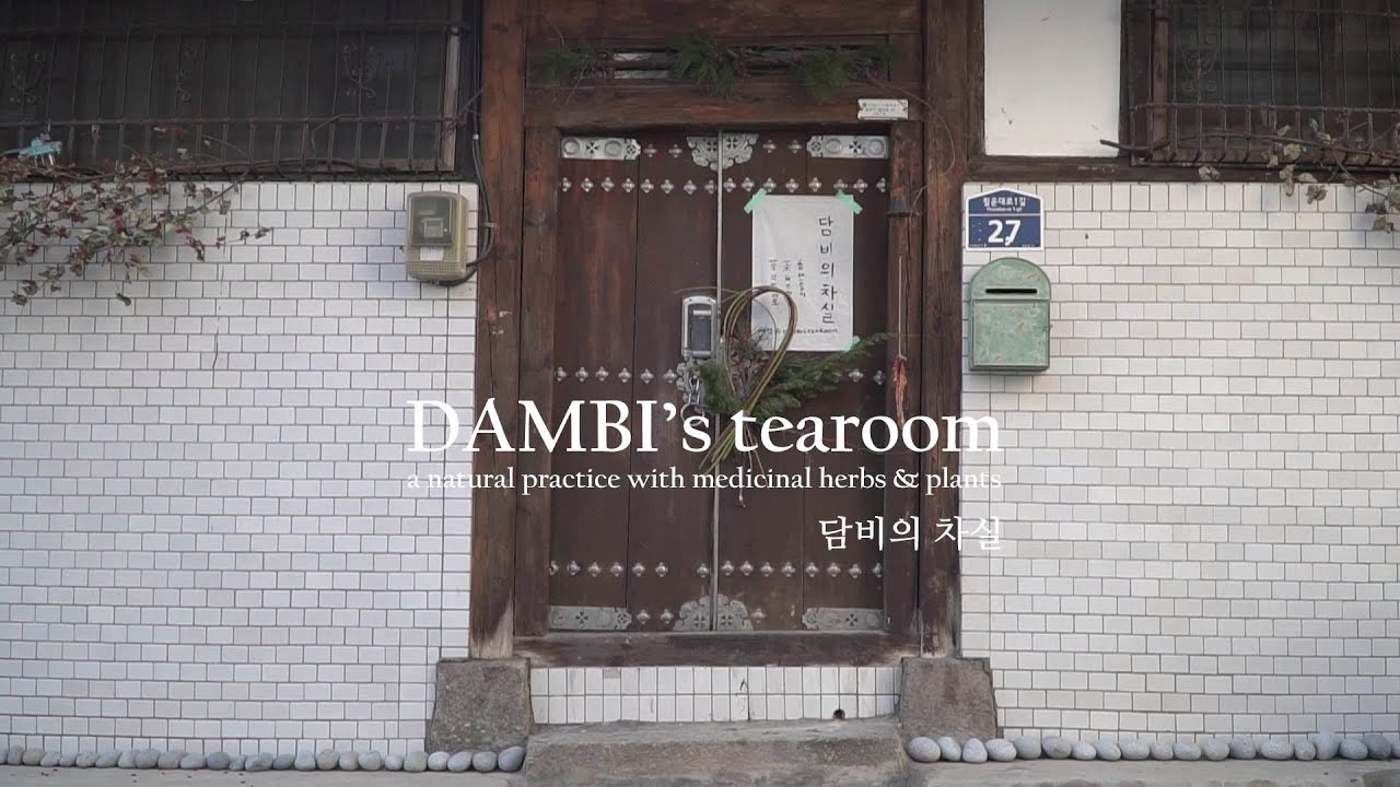 담비의 차실 프롤로그 | DAMBI's tearoom prologue