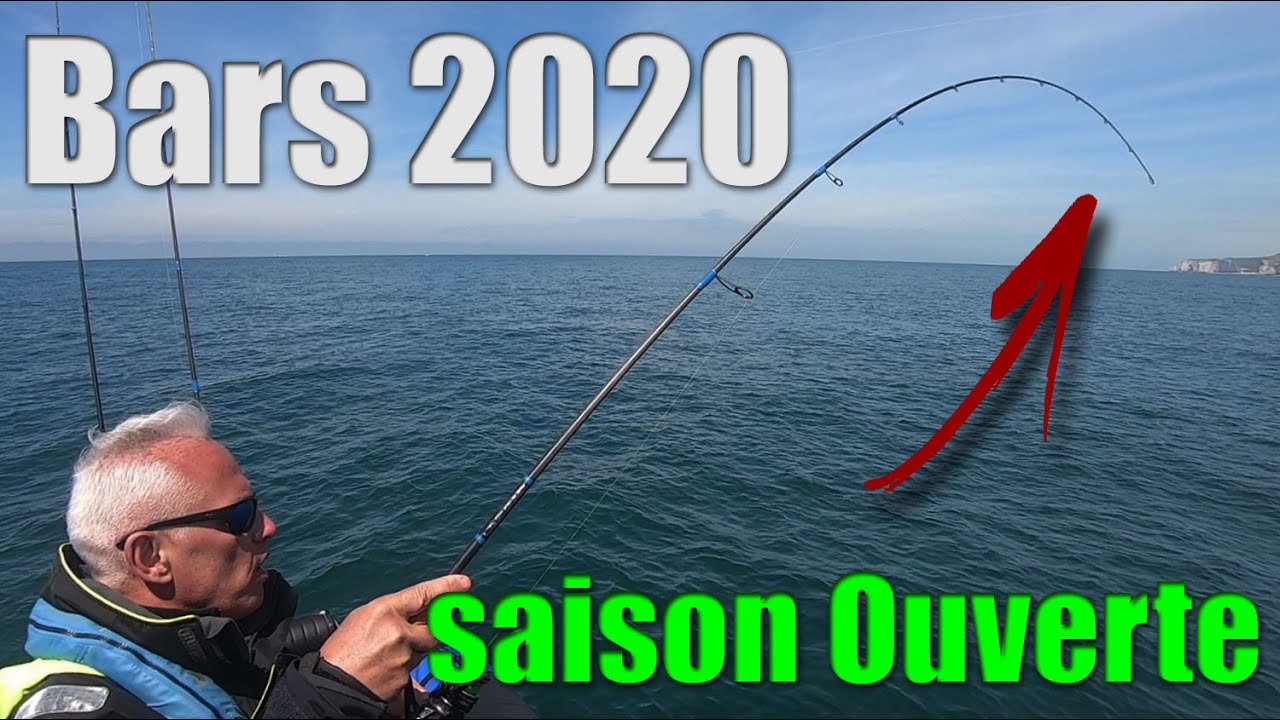 P&Ecirc;CHE DU BAR : des poissons actifs !!! OUVERTURE 2020 PLUS QUE REUSSIE