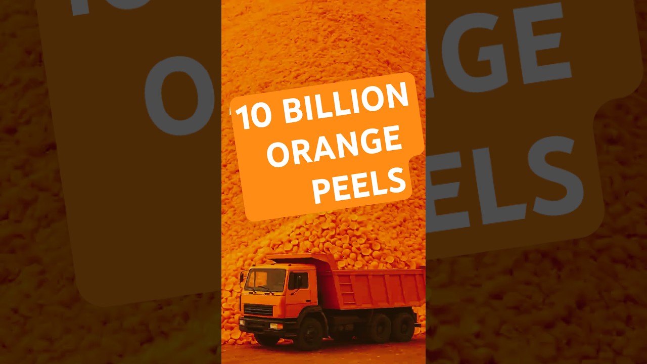 They dumped 12,000 tons of orange peels on dead land. 16 years later... 🤯 #Shorts
