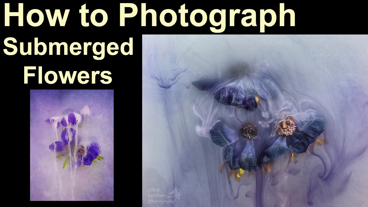 Submerged  flower photography