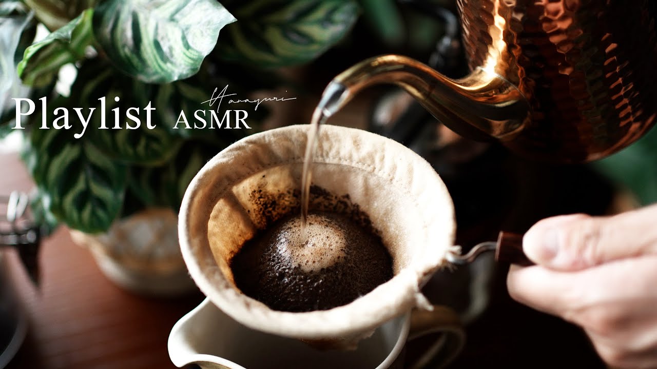 【Playlist ASMR】コーヒータイムに聴きたいアコースティック音楽｜アコギ｜観葉植物｜BGM｜作業用音楽｜途中広告無し｜北欧ヴィンテージ