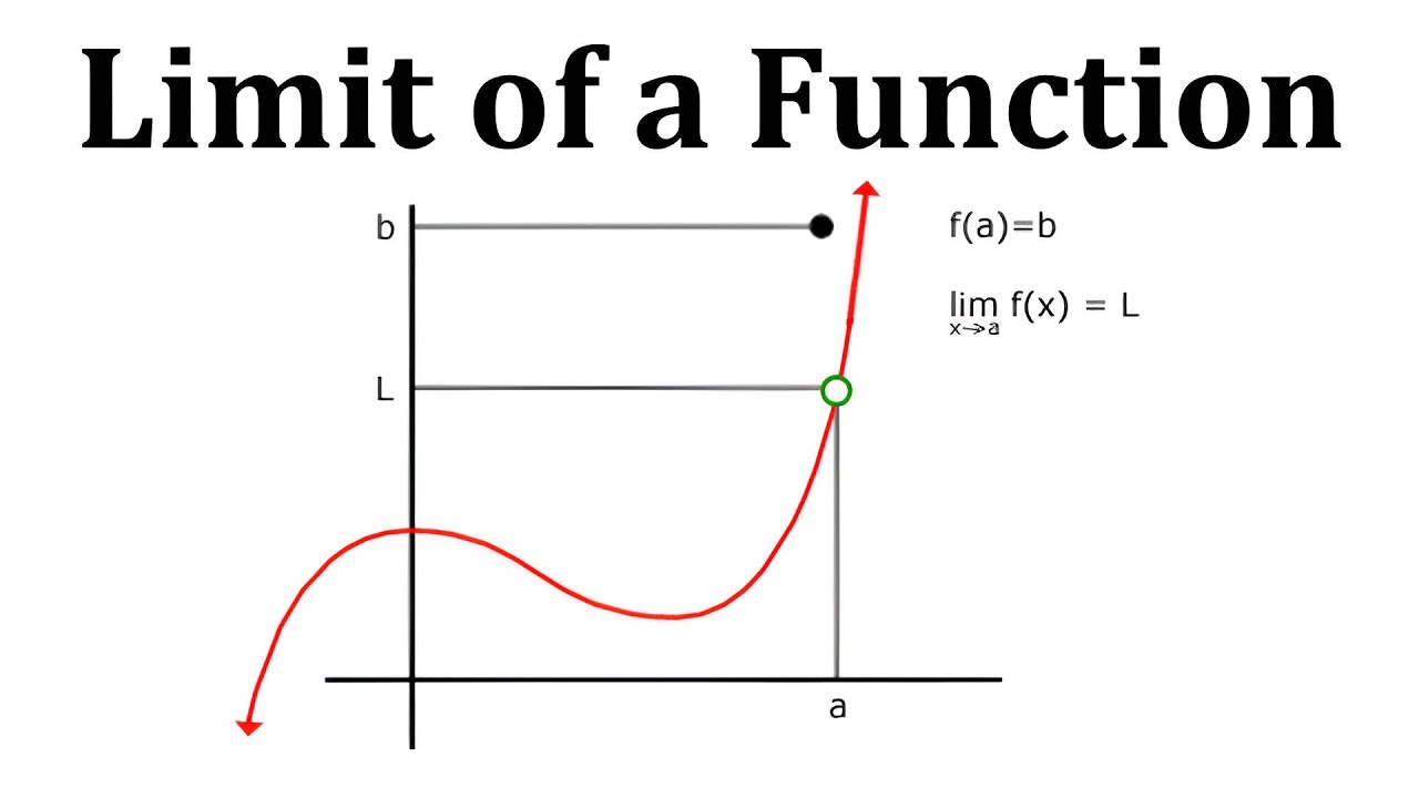 The Limit of a Function