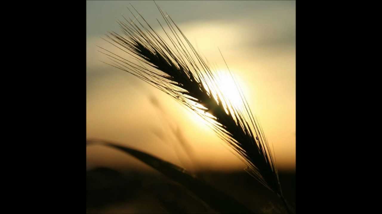Kirbye - Sei Tu Signore il Pane