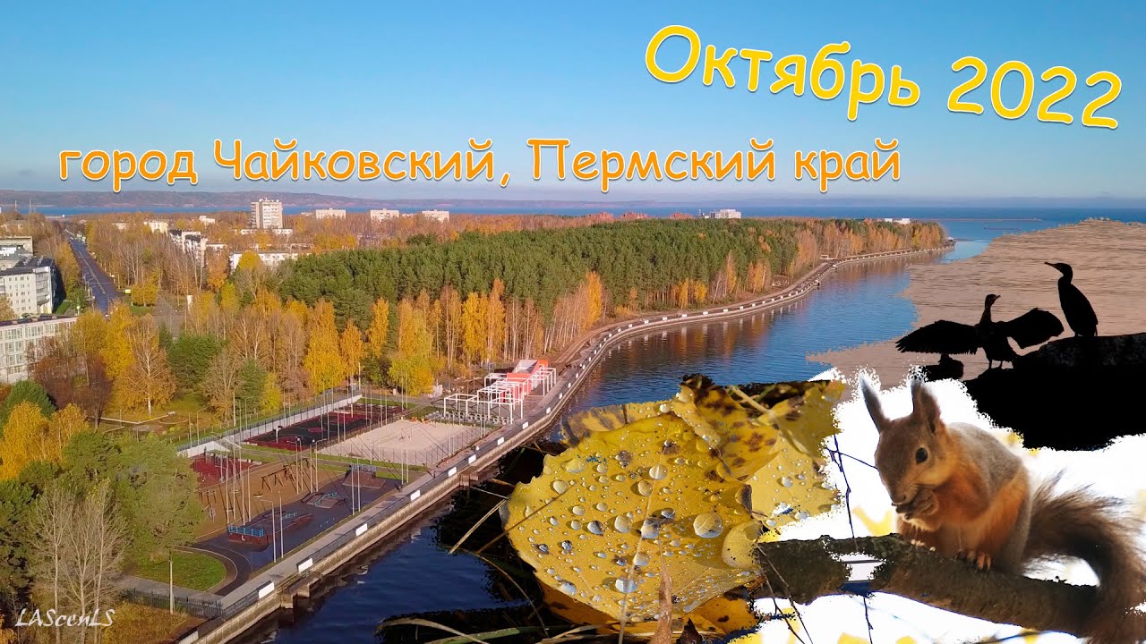 Осенний город Чайковский, Пермский край. Аэросъемка. Октябрь 2022