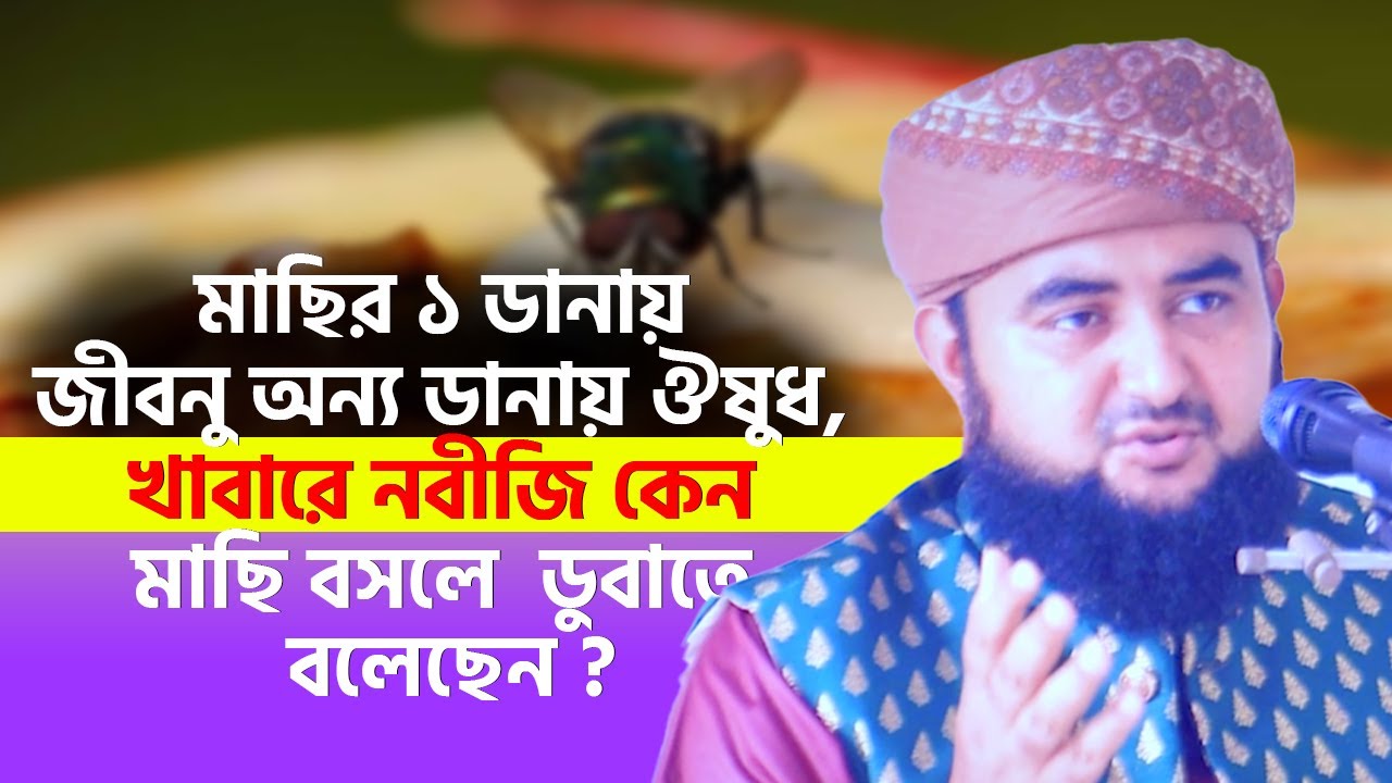 মাছির ১ ডানায় জীবনু অন্য ডানায় ঔষুধ, খাবারে নবীজি কেন মাছি বসলে ডুবাতে বলেছেন ? mustafiz rahmani